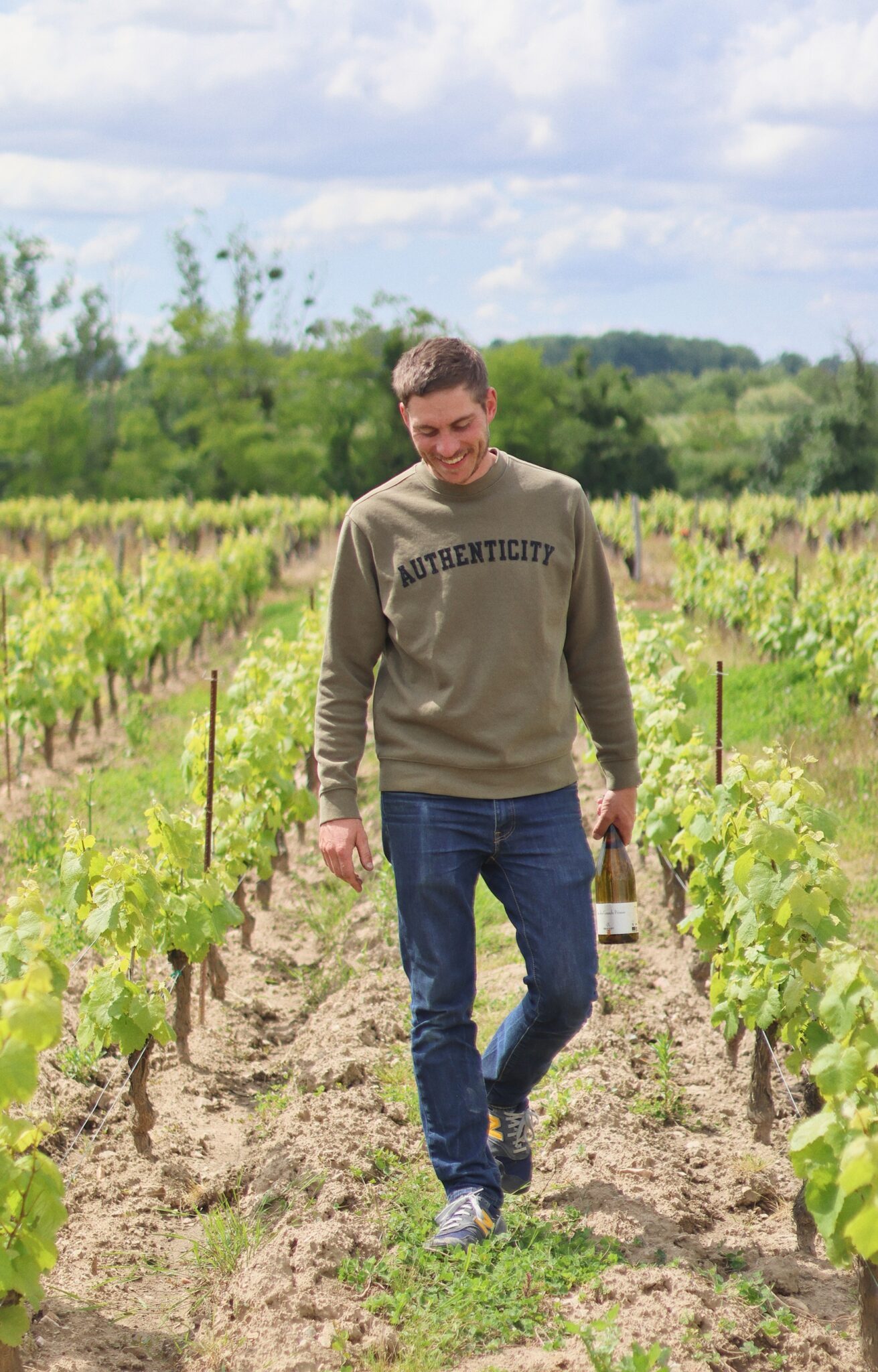 Antonin vignes