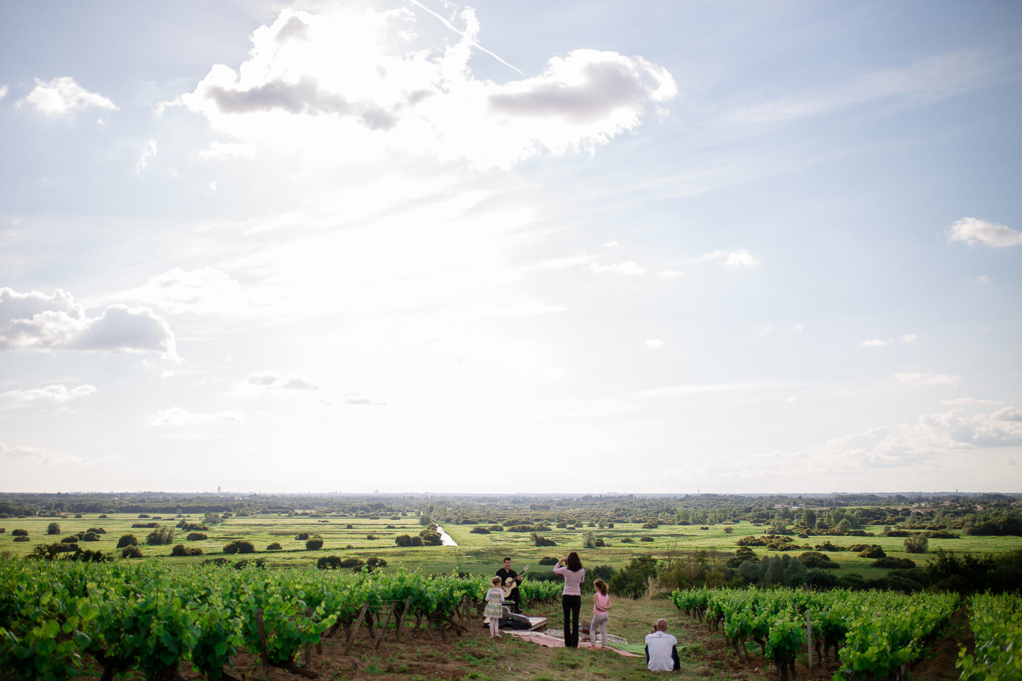 DOMAINE LUNEAU-PAPIN BY PAULINE THEON (83)