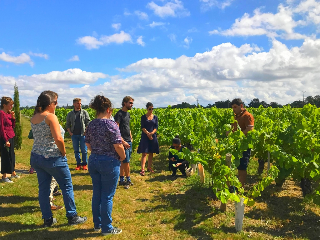 domaine raphael luneau-visite