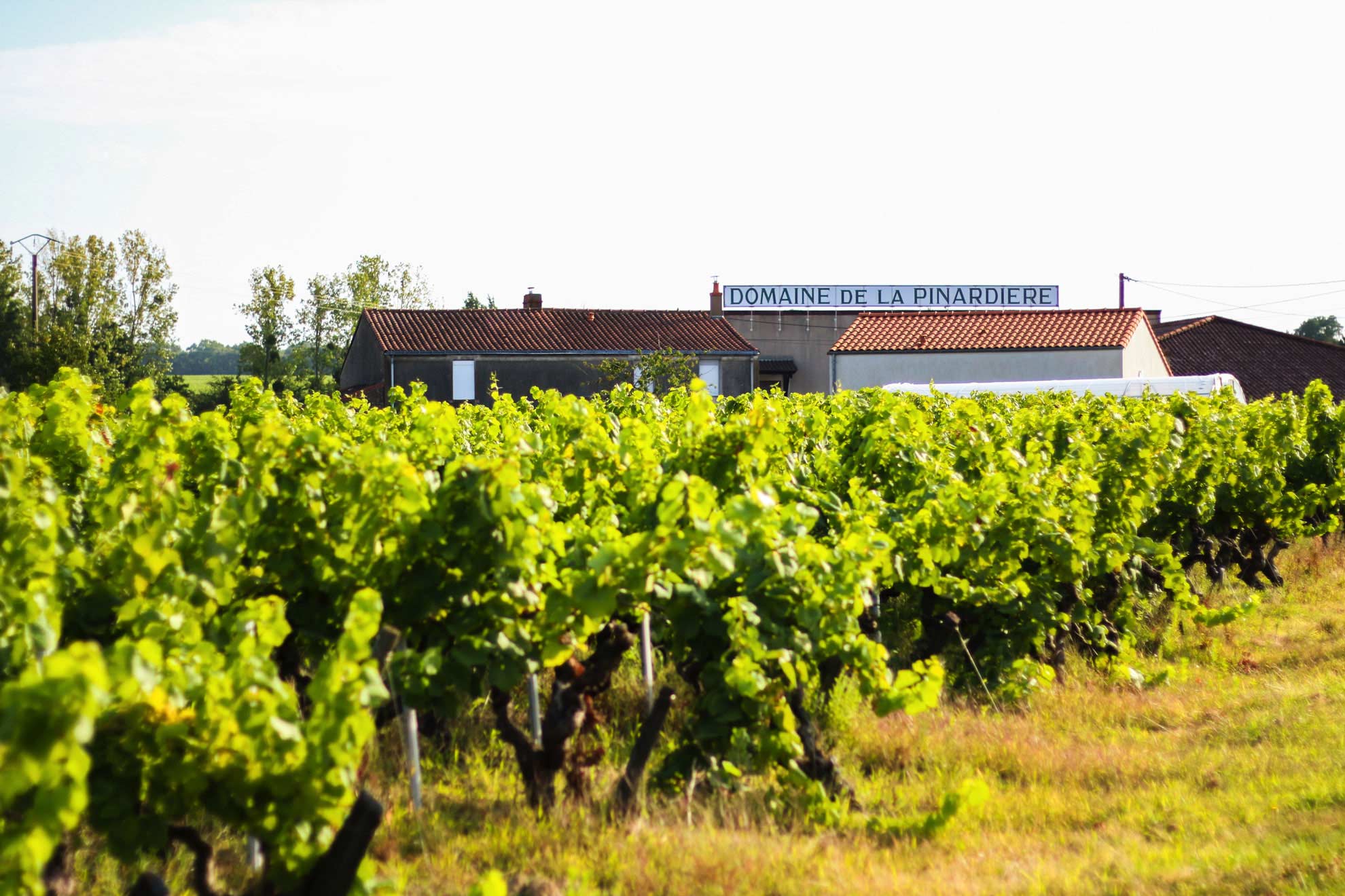 domaine_la_pinardiere_davidsecher_img_1