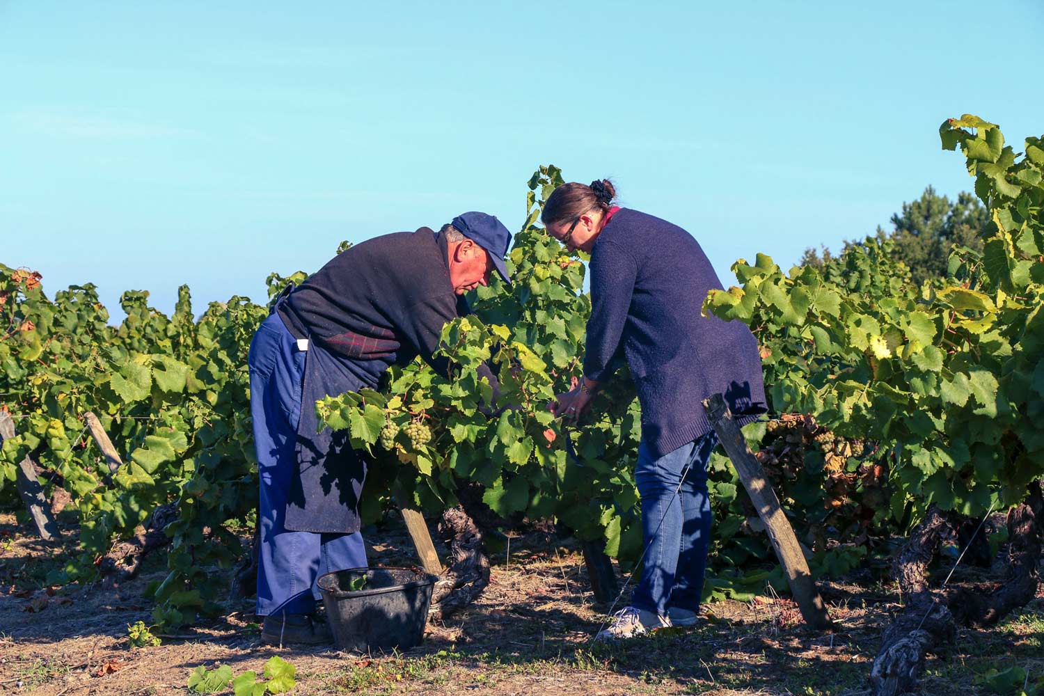 domaine_la_pinardiere_davidsecher_img_50