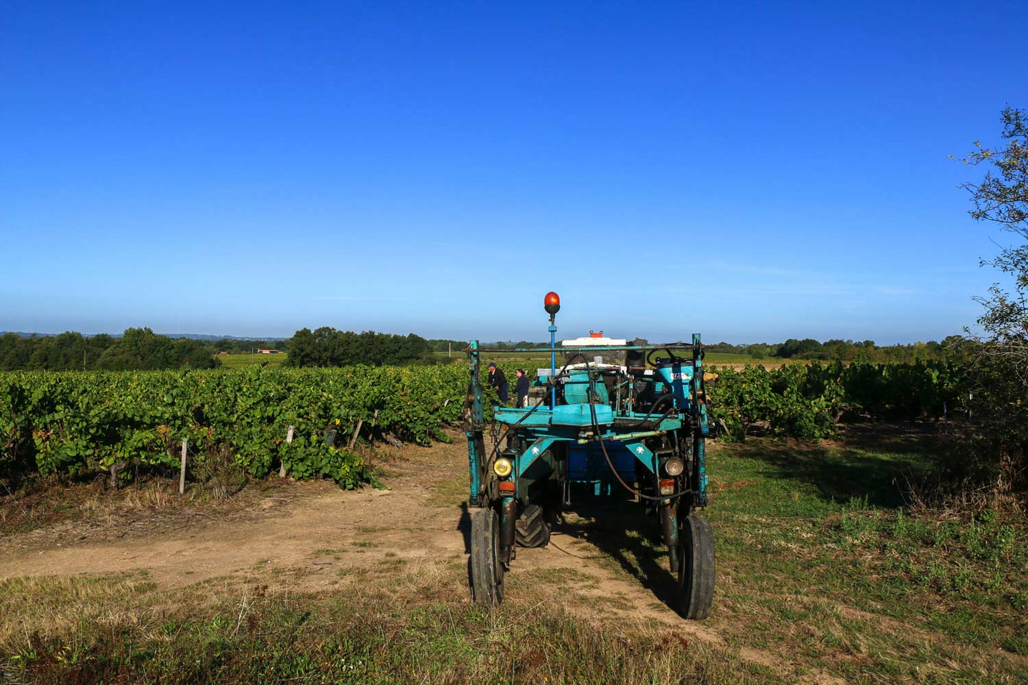 domaine_la_pinardiere_davidsecher_img_51